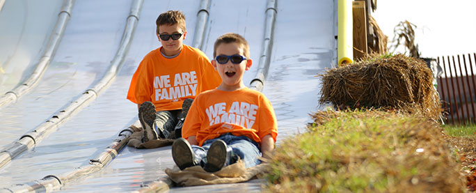 Family And The Farm
