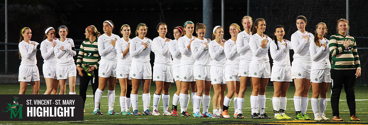 Fighting Irish Give Champion Effort In District Finals